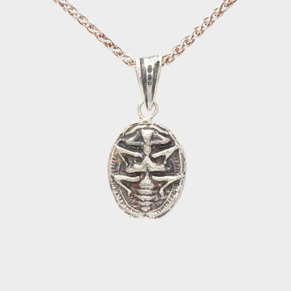 Silver Scarab Necklace with Matched Tourmaline Eyes